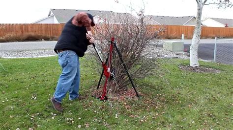 how to pull bushes out with skid steer|Planting Shrubs: Removal And Installation Guide.